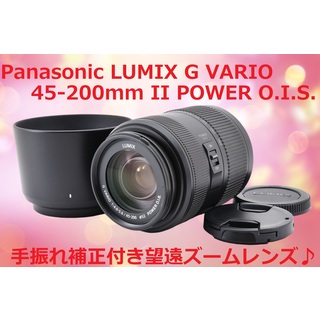 Panasonic LUMIX 45-200mm POWEROISⅡ #6146