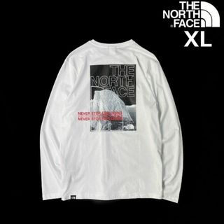 THE NORTH FACE - ノースフェイス 長袖 Tシャツ US限定 グラフィック ...