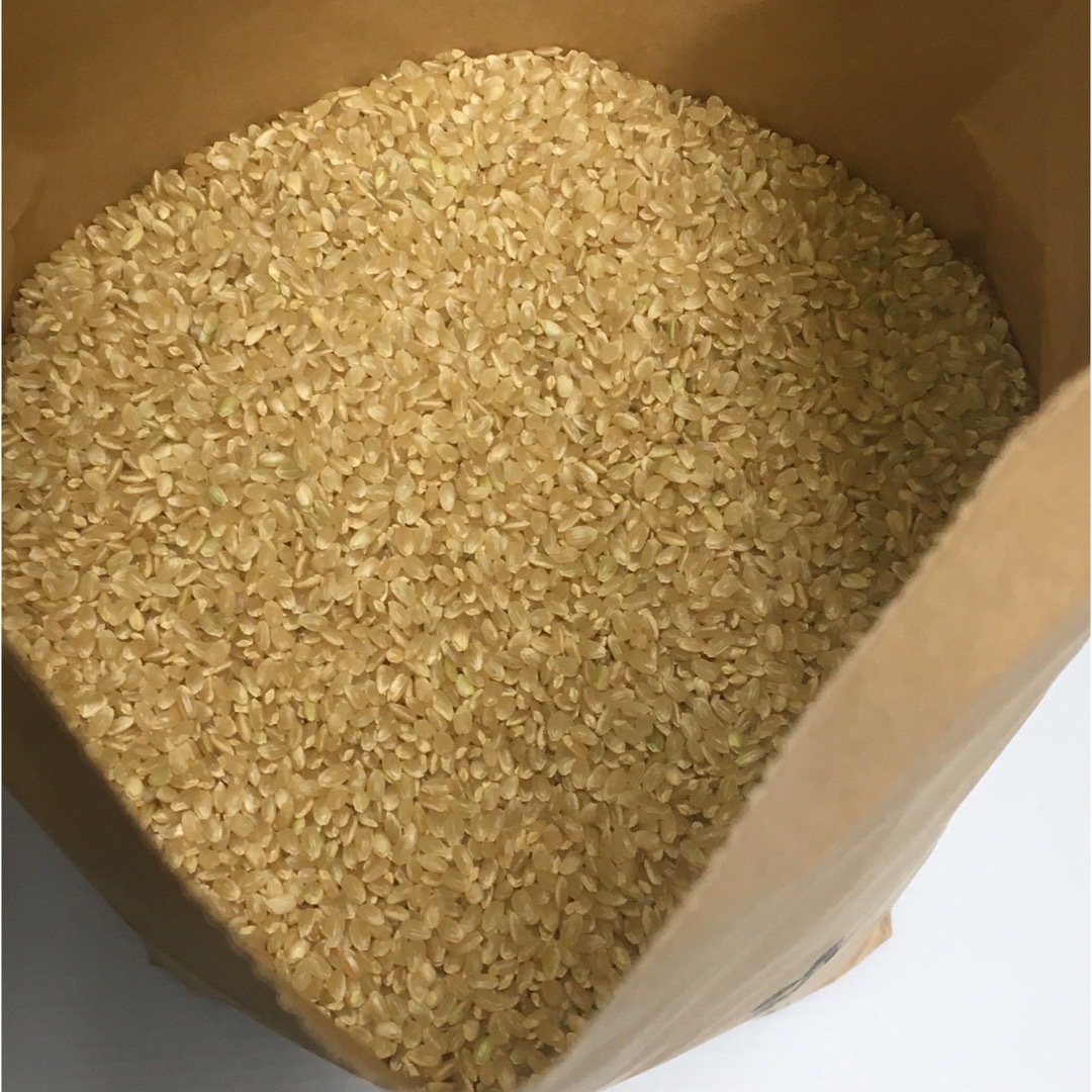 ももふくろう様専用　新米　無農薬コシヒカリ玄米20kg(5kg×4)令和5年産-