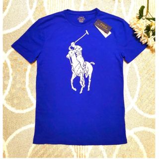 ポロラルフローレン(POLO RALPH LAUREN)の新品★M★ポロラルフローレン(Tシャツ/カットソー(半袖/袖なし))