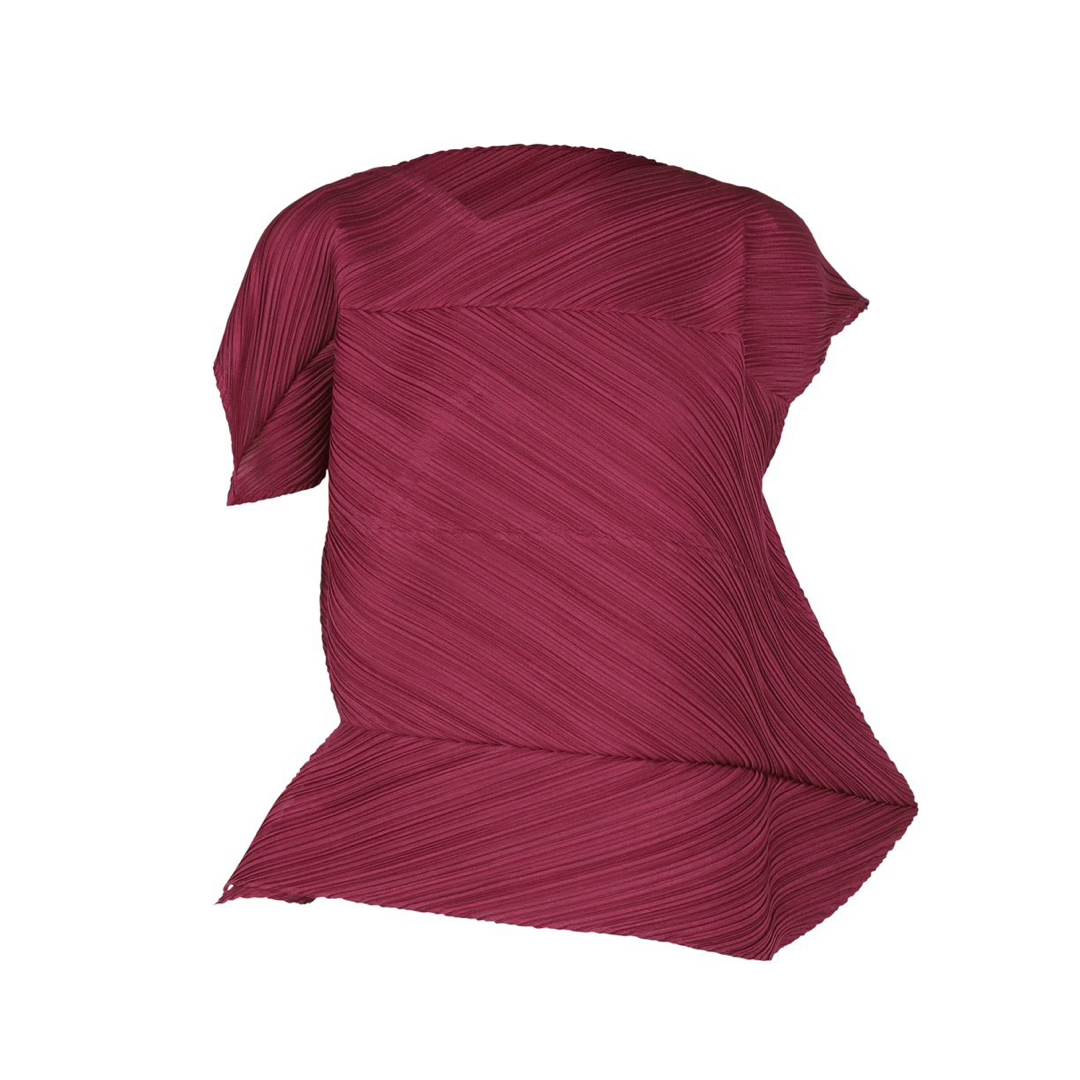 PLEATS PLEASE ISSEY MIYAKE(プリーツプリーズイッセイミヤケ)のPLEATS PLEASE ISSEY MIYAKE PALM  jk481 レディースのトップス(カットソー(半袖/袖なし))の商品写真