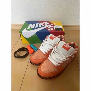 ナイキ(NIKE)のNike SB DUNK Low SP Orange Lobster (スニーカー)