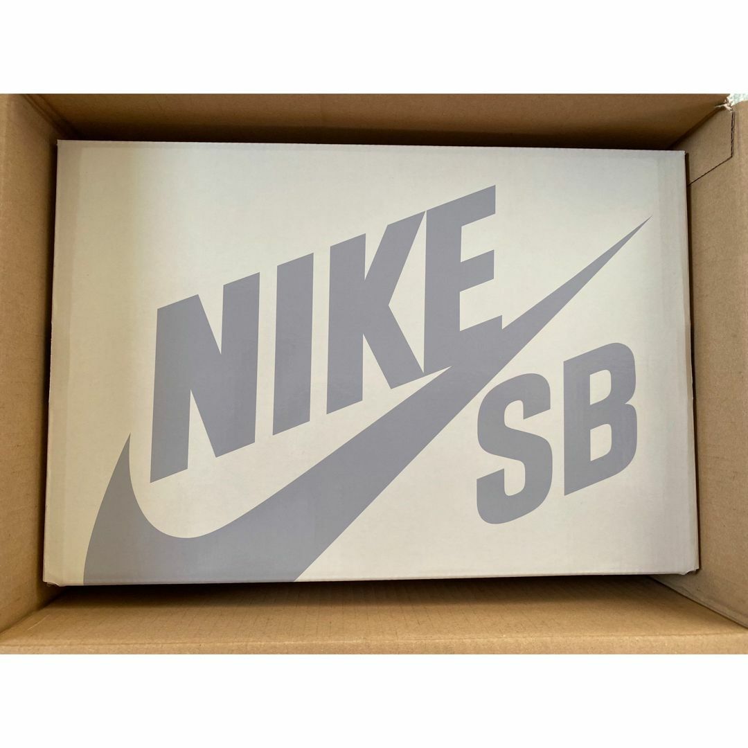 新品 Yuto Horigome × Nike SB Dunk Low 29