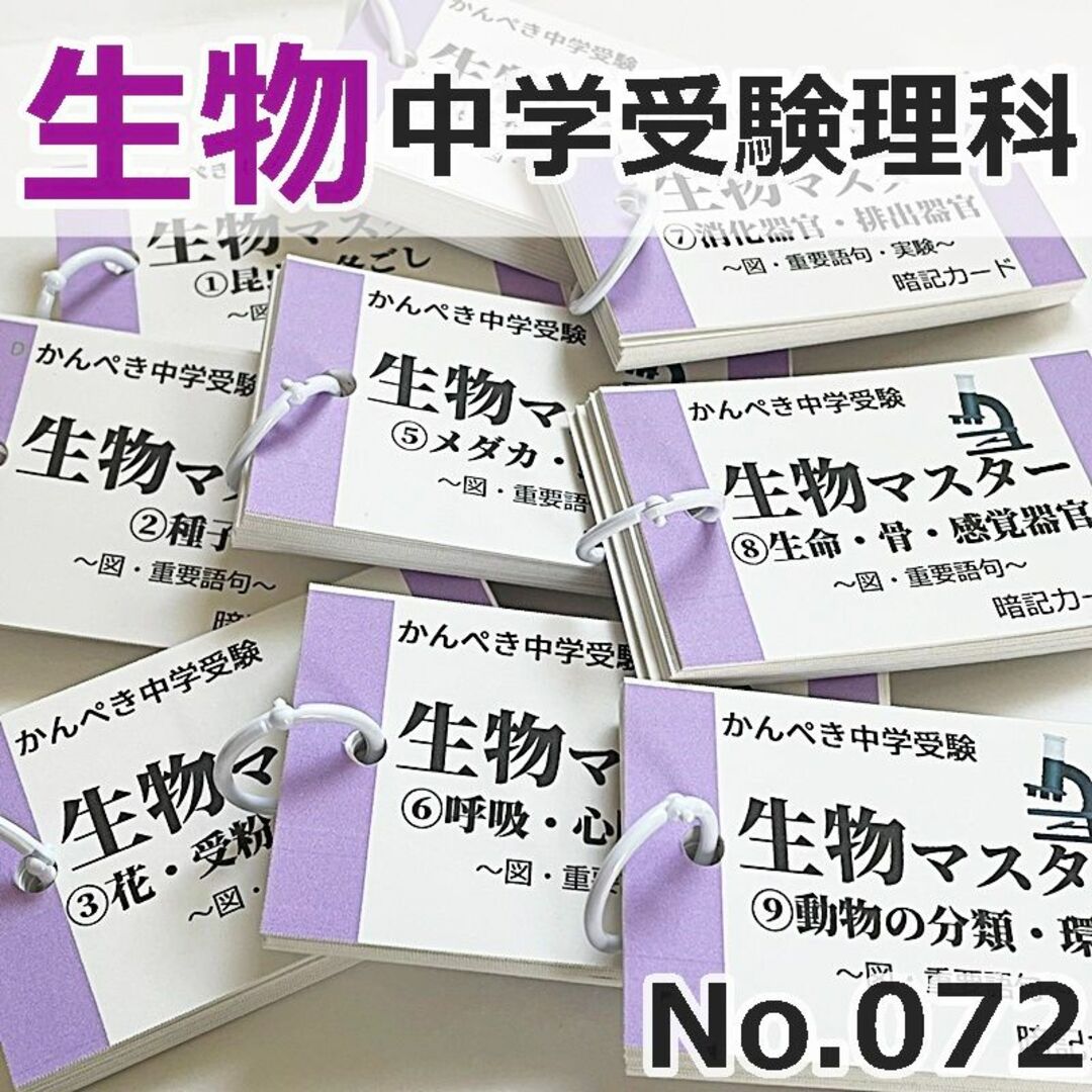 【100】中学受験　算数・国語・理科・社会　暗記カードセット　参考書問題集 8