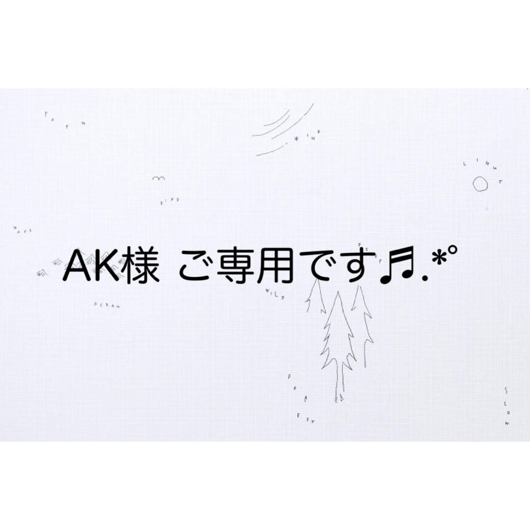ミナペルホネン ハンドメイドバッグ タンバリン-fizikalcentar.rs