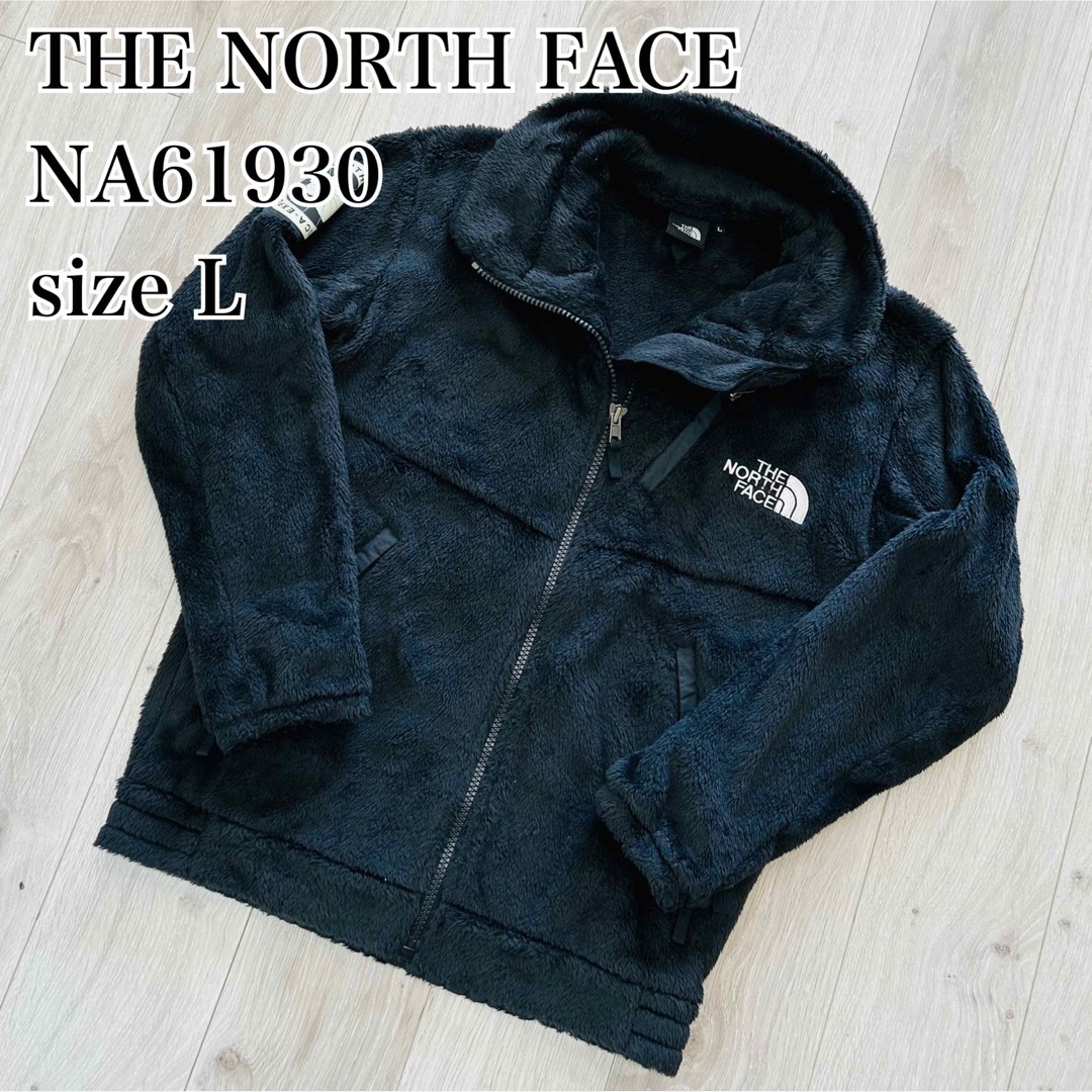 THE NORTH FACE - 【即完モデル】ノースフェイス L アンタークティ