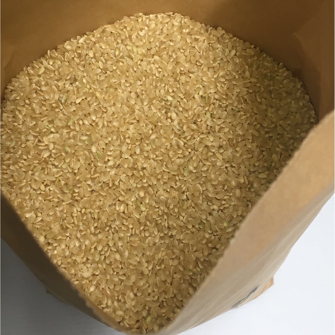 りん様専用　新米　無農薬コシヒカリ玄米20kg、乾海苔3等級42枚　令和5年産-
