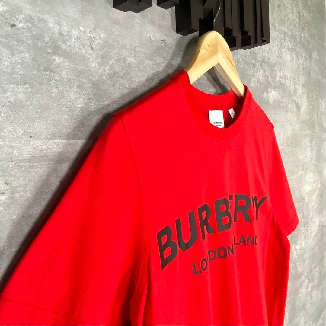 BURBERRY(バーバリー)の『BURBERRY』バーバリー (S) クルーネック半袖Tシャツ レディースのトップス(Tシャツ(半袖/袖なし))の商品写真