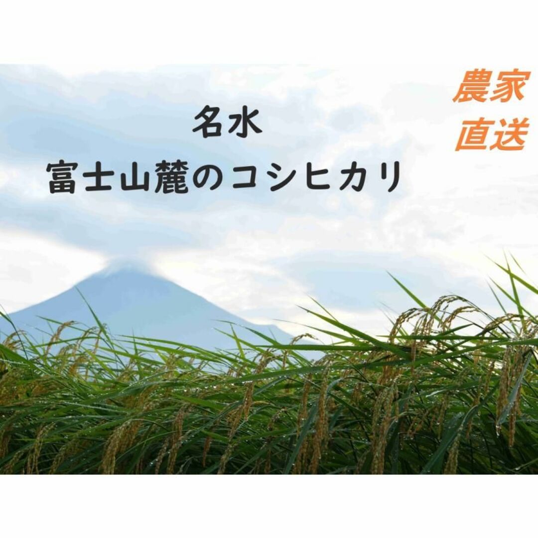 令和5年産　炊くとふっくら！霊峰富士山の湧き水が作った絶品コシヒカリ 5kg白米 食品/飲料/酒の食品(米/穀物)の商品写真