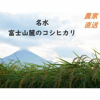 令和5年産　炊くとふっくら！霊峰富士山の湧き水が作った絶品コシヒカリ20㎏玄米(米/穀物)