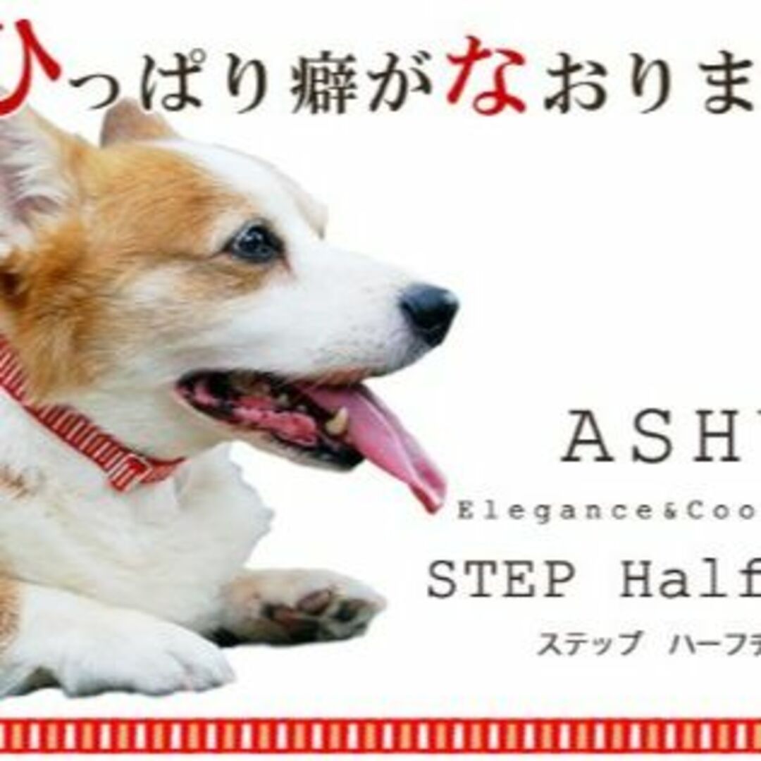 【新着商品】[ASHU] ＳＴＥＰ ハーフチョーク Ｍ レッド 小型犬～中型犬