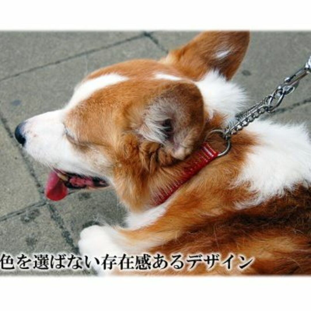 【新着商品】[ASHU] ＳＴＥＰ ハーフチョーク Ｍ レッド 小型犬～中型犬