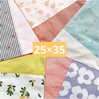 【オーダー可】ランチョンマット　ナフキン　25×35  女の子　リバーシブル(外出用品)