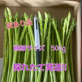 極細訳あり　グリーンアスパラガス500g(野菜)