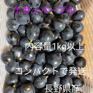 ナガノパープル 長野県産 コンパクトで発送 内容量1kg以上(フルーツ)