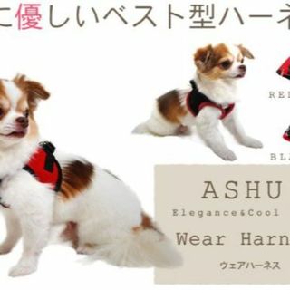 【新着商品】[ASHU] 犬用 ウェアハーネス メッシュ レッド SS：胴回り2