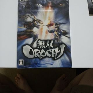 無双OROCHI(PCゲームソフト)