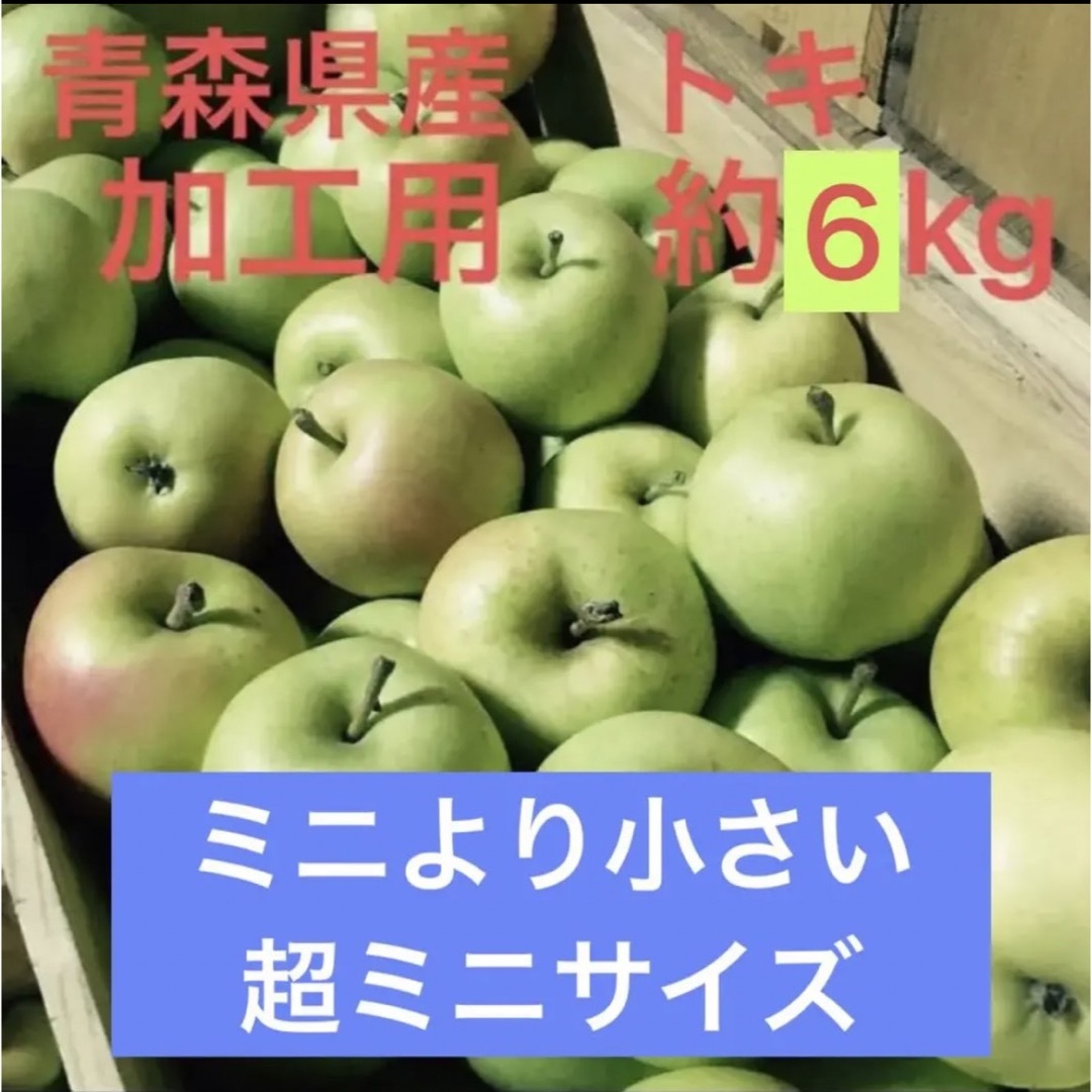 加工用　トキ　青森県産　りんご　訳あり　産地直送 食品/飲料/酒の食品(フルーツ)の商品写真