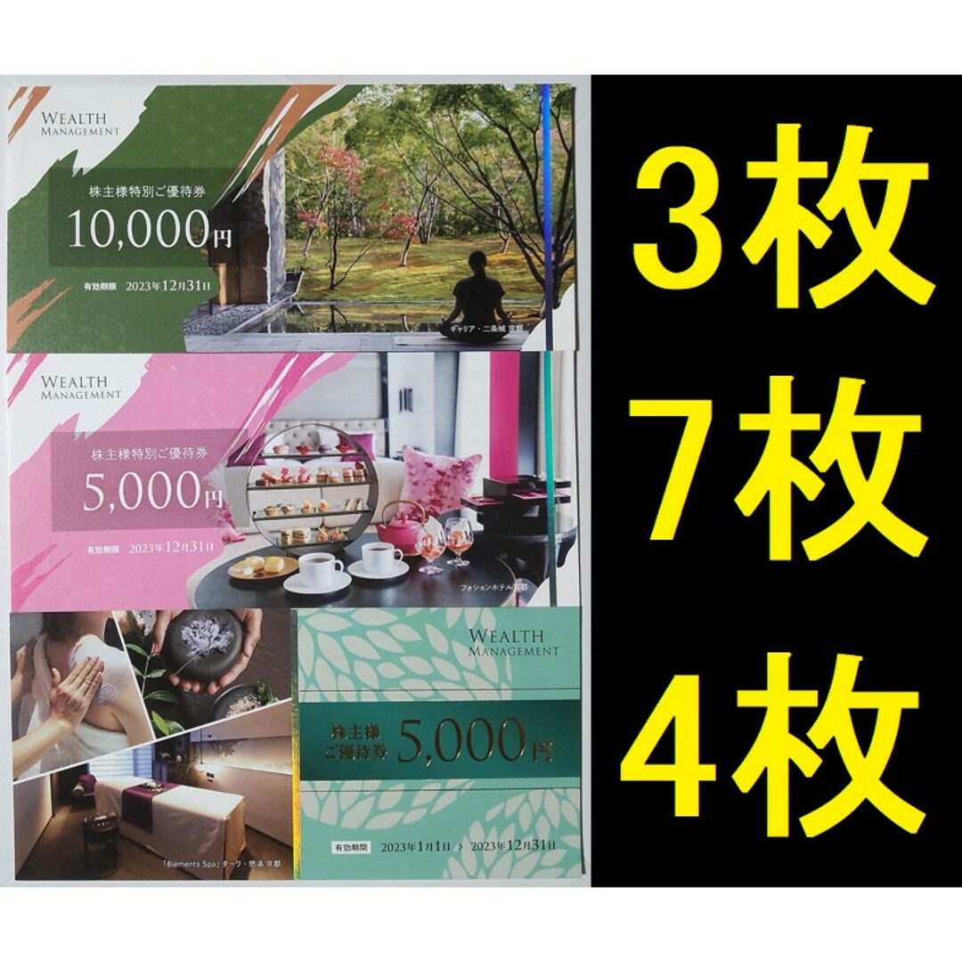 ウェルスマネジメント 株主優待券 85000円分 2023年12月期限の通販 by