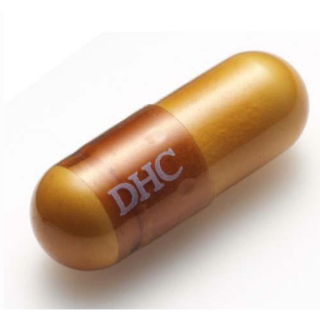 【4袋】DHC α-リポ酸 60日分 120粒　（アルファリポ酸）