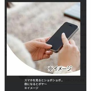 【15個】リアルエクセレント ブルーベリーライト