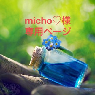 micho♡様専用ページ(ドライフラワー)