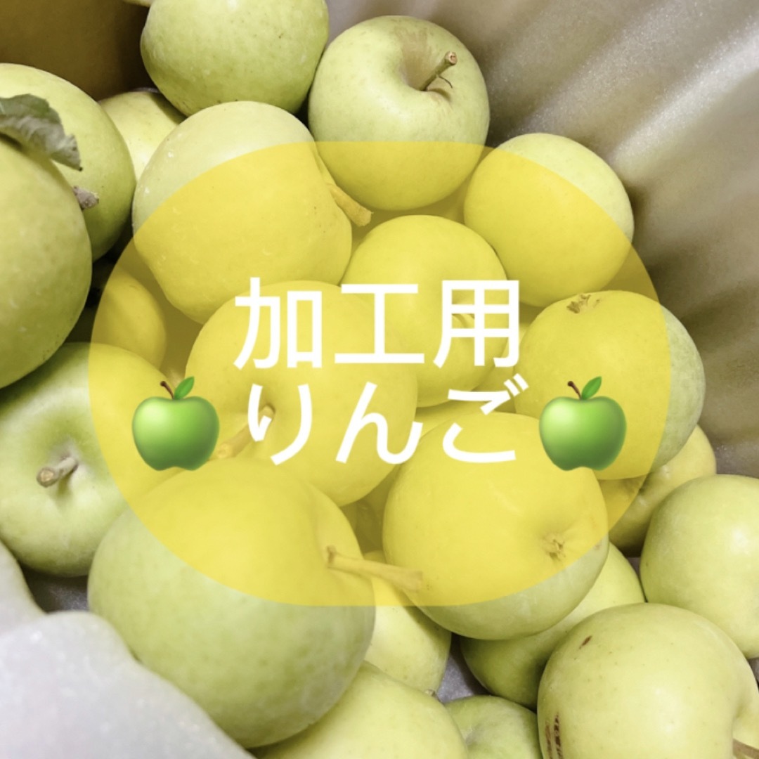 3.5kgの通販　産地直送】青森県産りんご　by