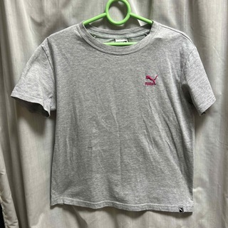 プーマ(PUMA)のPUMA  Tシャツ　Mサイズ　レディース(その他)