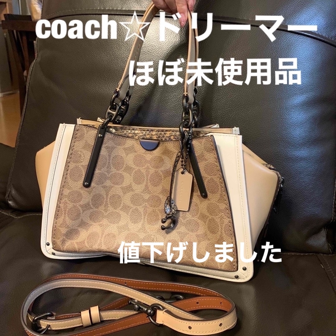 ✴︎値下げ！DIOR ショルダーバッククロコ　ハワイ限定✴︎