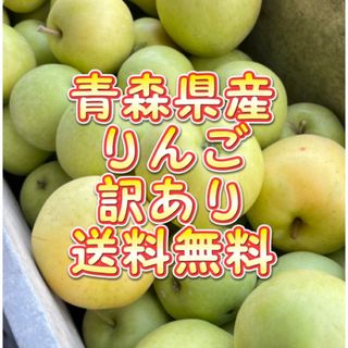 【産地直送】青森県産りんご  訳あり 10kg(フルーツ)