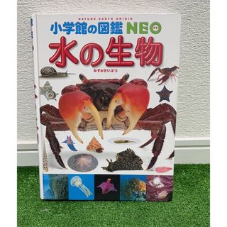 ショウガクカン(小学館)の水の生物(絵本/児童書)