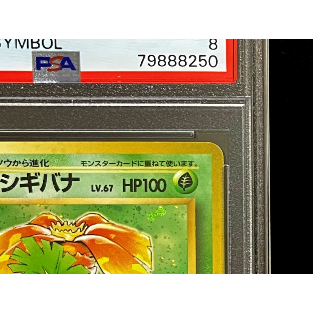 ポケモンカード 旧裏 第一弾 フシギバナ PSA 8 | www.ssvcollegerawla.in