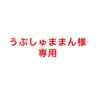 うぷしゅままん様専用(ペットフード)