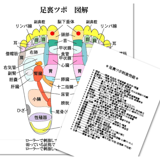フット ローラー ミニ 足裏ツボ マッサージ 携帯用サック付 足裏ツボ図解付 の通販 By Erika S Shop ラクマ フット ローラー ミニ 足裏ツボ マッサージ 携帯用サック付 足裏ツボ図解付 の通販 By Erika S Shop ラクマ