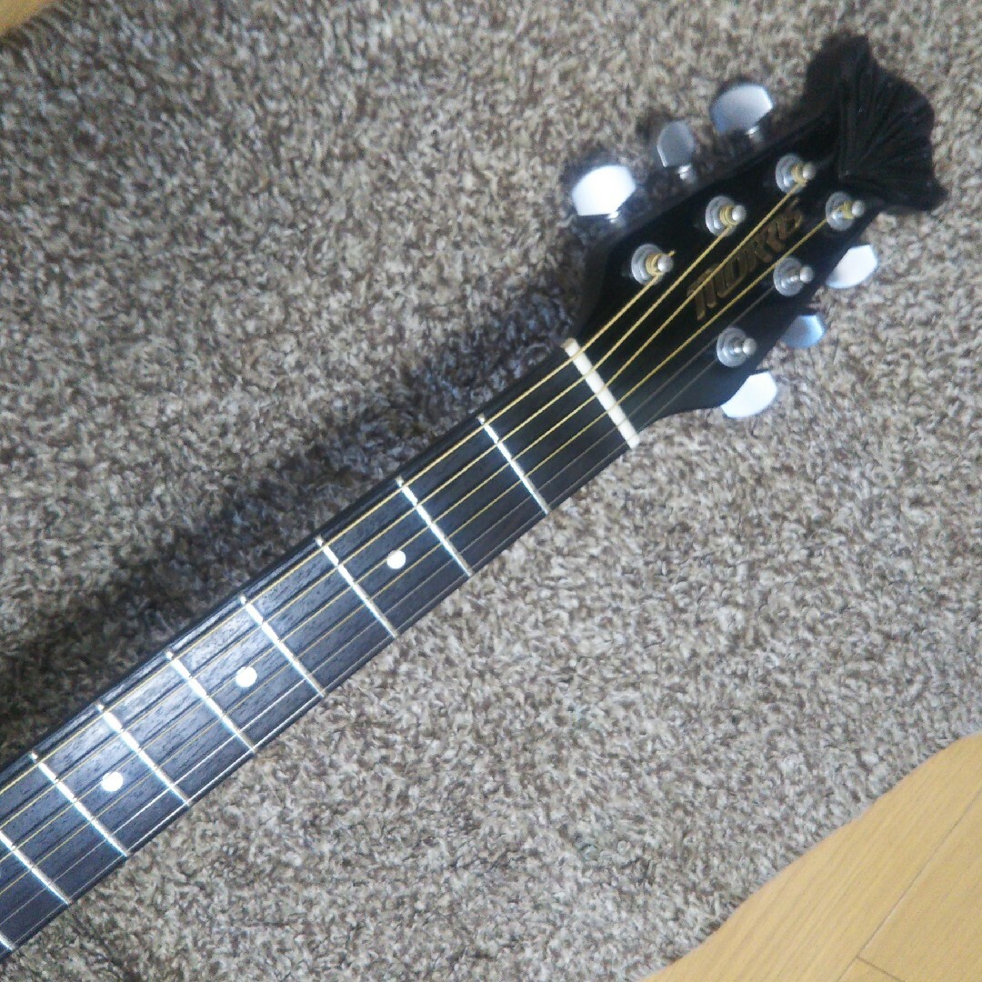 Morris エレアコ TR-601 アコースティックギター