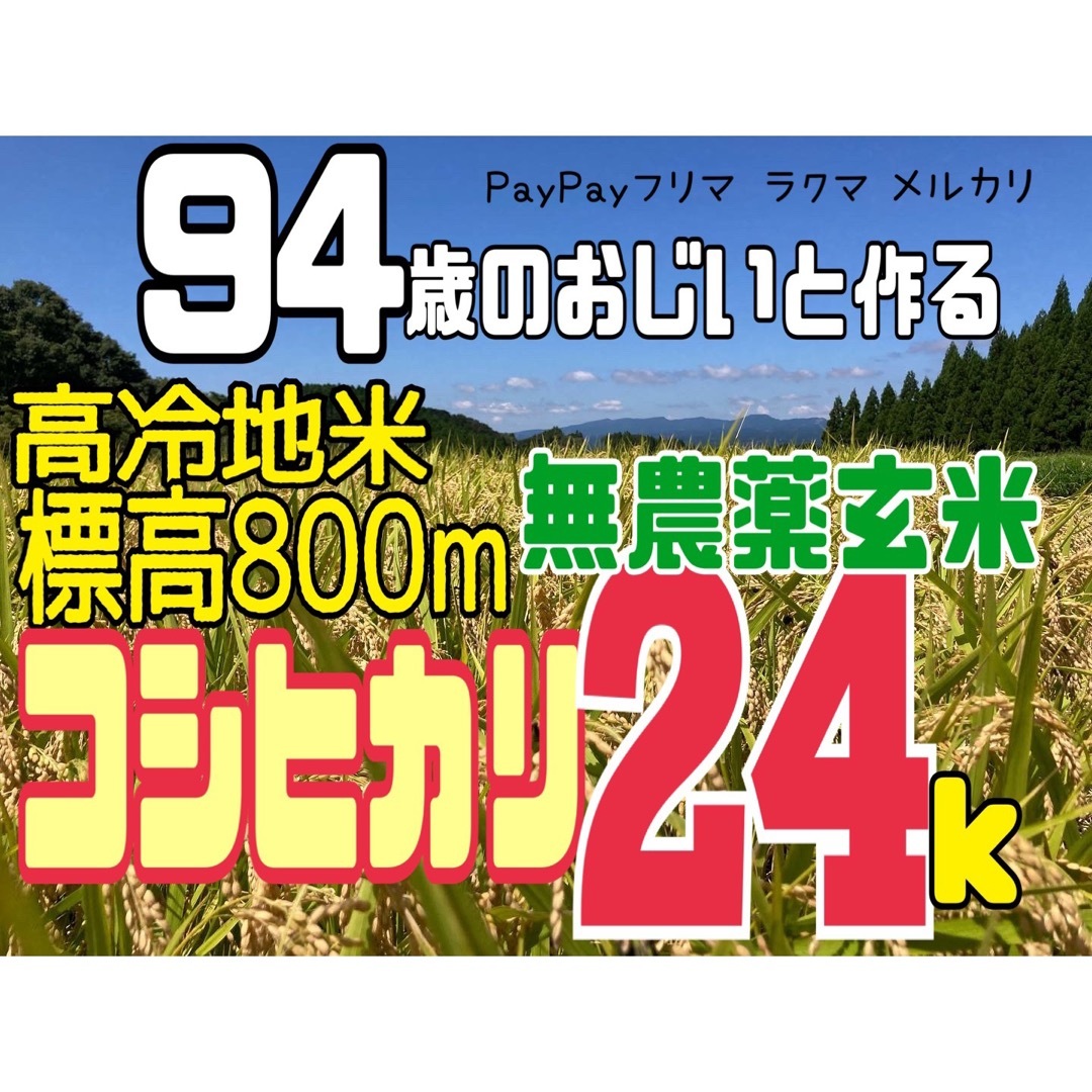 【新米】宮崎県産 高冷地米 コシヒカリ 無農薬 玄米 24kg