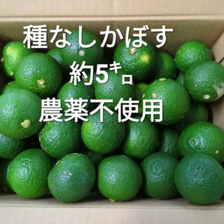 種なし かぼす 5㌔ (箱込み) 農薬不使用(フルーツ)