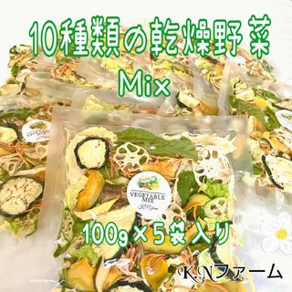 【10種類の乾燥野菜Mix100g×5袋入り】自然の美味しさと香り ドライベジ(野菜)