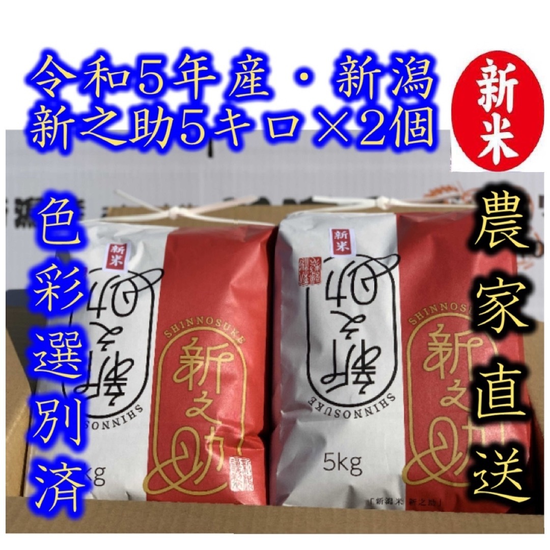 令和5年産　新潟　新之助　白米5kg × 2個★農家直送★色彩選別済20 食品/飲料/酒の食品(米/穀物)の商品写真