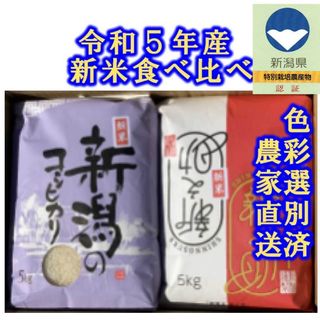 2種銘柄食べ比べセット　新米・令和5年産　新潟コシヒカリ　新之助　各白米5キロ(米/穀物)