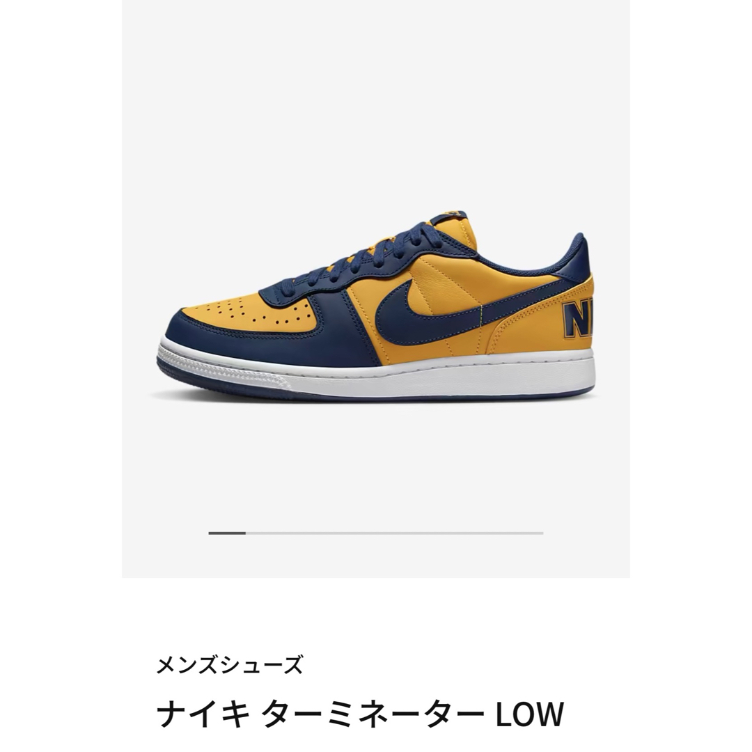 NIKE TERMINATOR LOW ターミネーター ロウ ミシガン