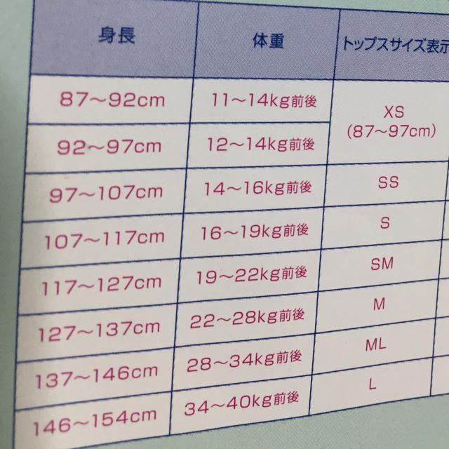 その他RONIサイズ確認