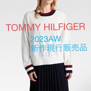 トミーヒルフィガー(TOMMY HILFIGER)のTOMMY HILFIGERニット グローバルストライプクルーネックセーター(ニット/セーター)