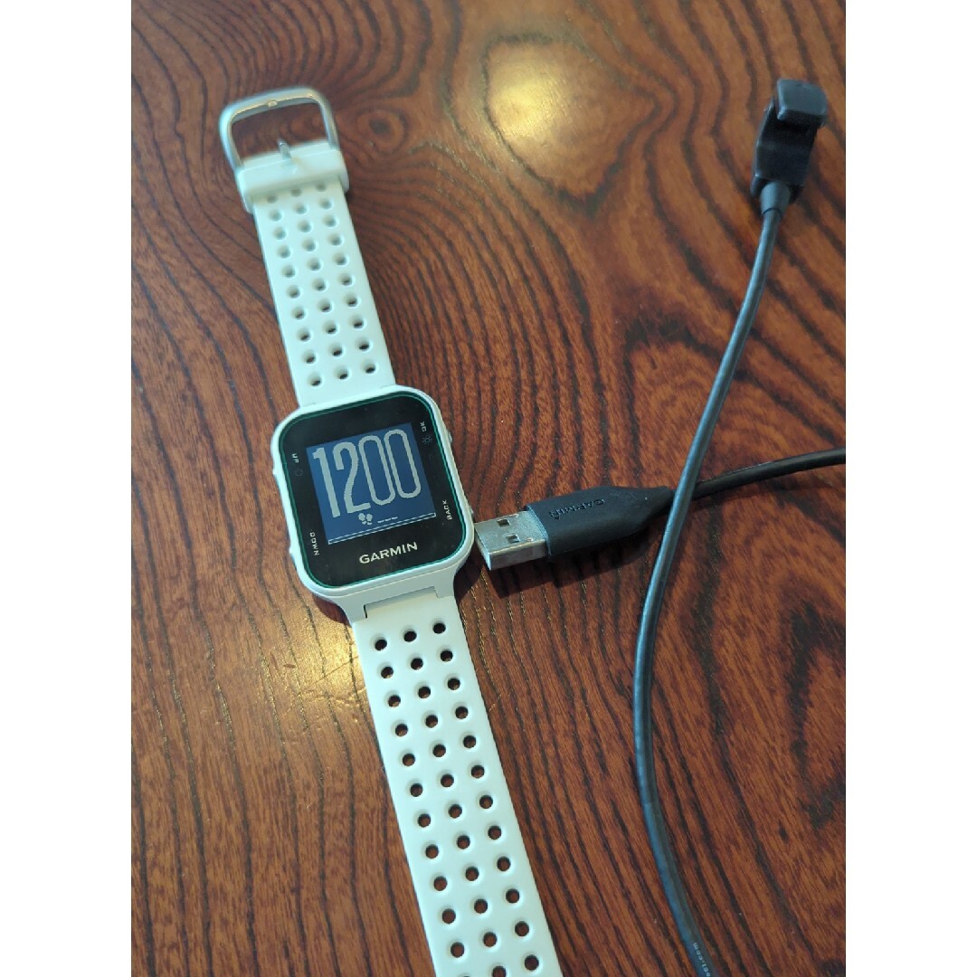 GARMIN APPROACH S20