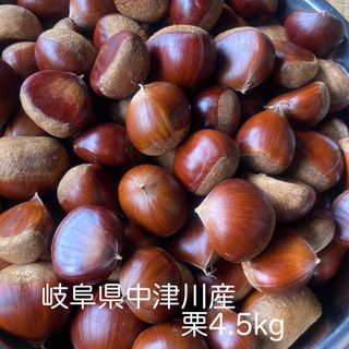 生栗　4.5kg(フルーツ)