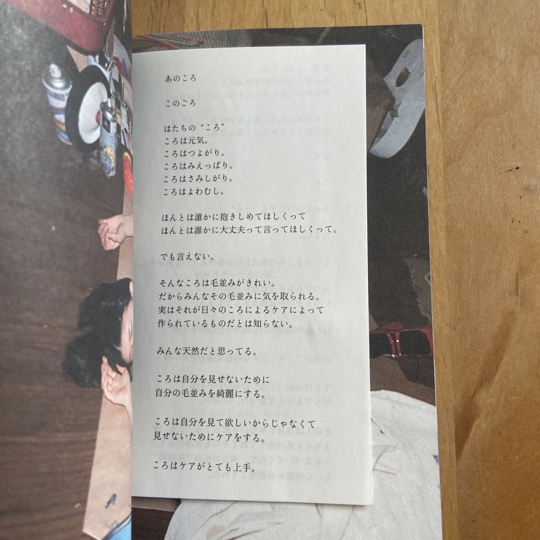 川島小鳥　森川葵　２０歳の頃 エンタメ/ホビーの本(アート/エンタメ)の商品写真