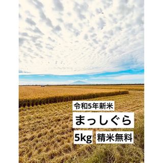 【令和5年新米】まっしぐら　5kg 青森米　桜米(米/穀物)