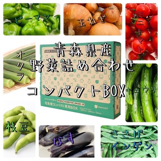 青森県産　野菜詰め合わせ　コンパクトBOX(野菜)