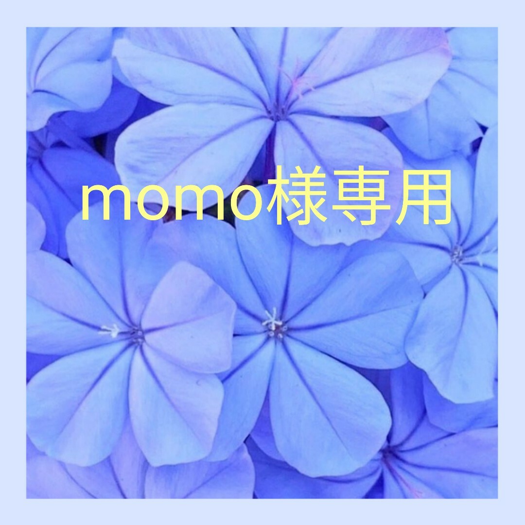 momo様専用の通販 by &FLOWER|ラクマ