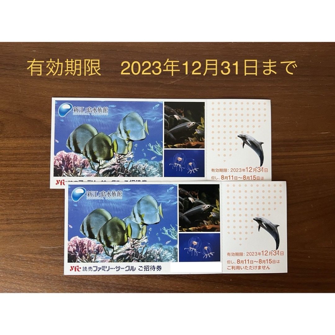 新江ノ島水族館 入場招待チケット2枚(大人・小人共通)12月31日迄
